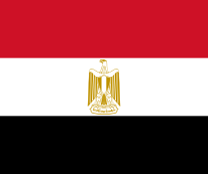 Egyptian Society of Anaesthesiologists 