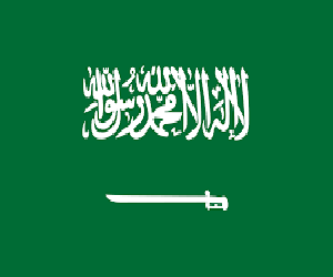 Saudi Anaesthetic Association 